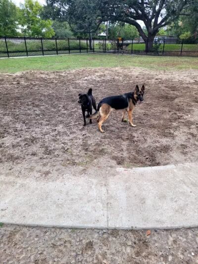 Pontiff Park Dog Park - Metairie, LA