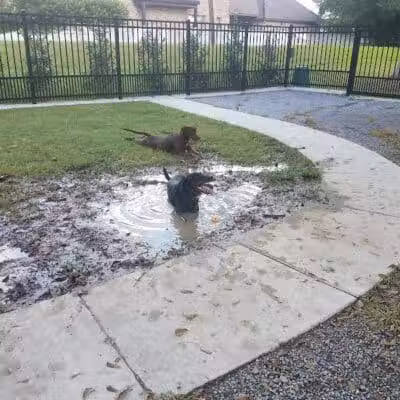 Pontiff Park Dog Park - Metairie, LA