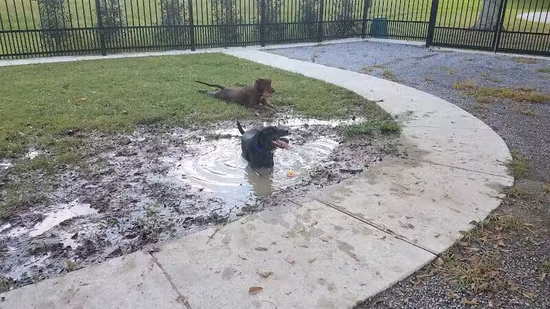 Pontiff Park Dog Park - Metairie, LA