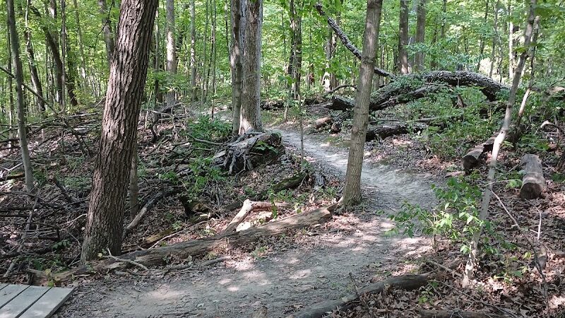 Black Partridge Park - Metamora, IL