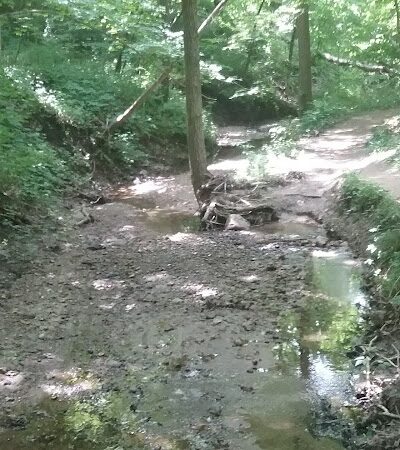 Black Partridge Park - Metamora, IL