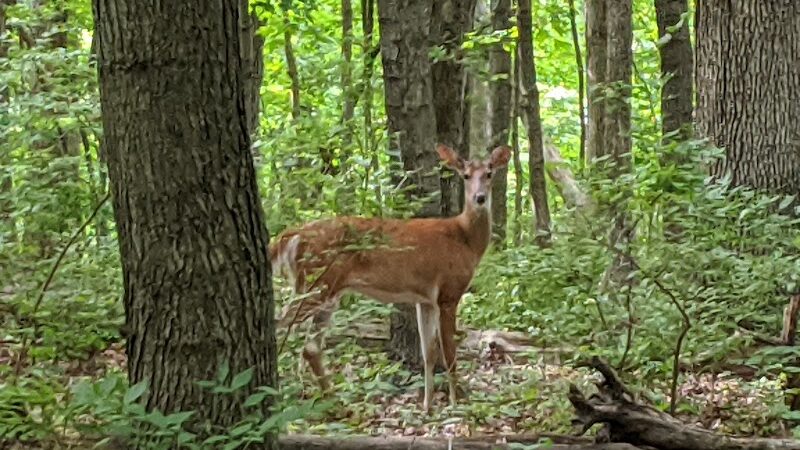 Black Partridge Park - Metamora, IL