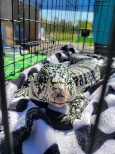 Metropolis Sports Park - Metropolis, IL