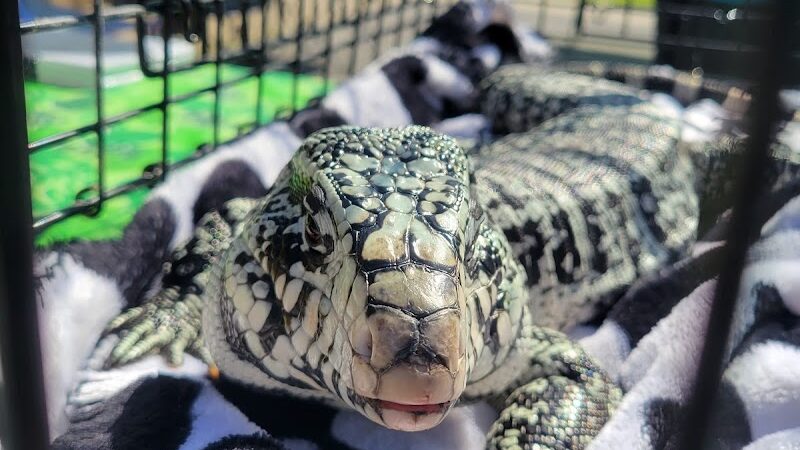 Metropolis Sports Park - Metropolis, IL