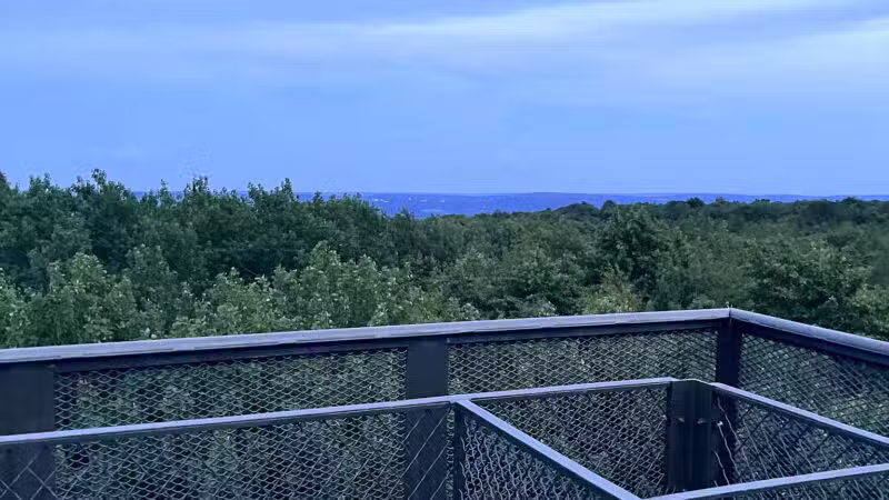 Mount Davis Pennsylvania Highpoint Trailhead - Meyersdale, PA
