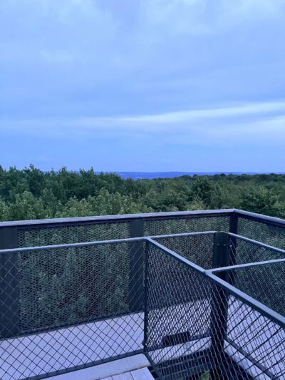 Mount Davis Pennsylvania Highpoint Trailhead - Meyersdale, PA