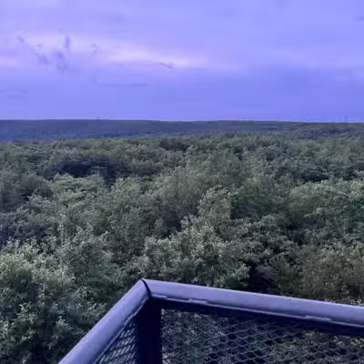 Mount Davis Pennsylvania Highpoint Trailhead - Meyersdale, PA