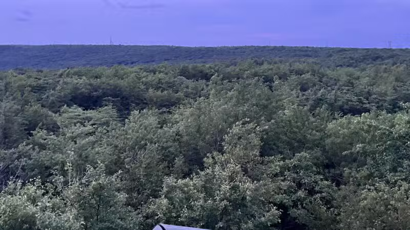 Mount Davis Pennsylvania Highpoint Trailhead - Meyersdale, PA
