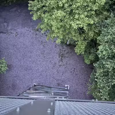 Mount Davis Pennsylvania Highpoint Trailhead - Meyersdale, PA