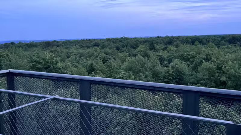 Mount Davis Pennsylvania Highpoint Trailhead - Meyersdale, PA