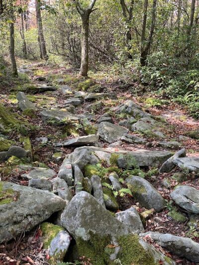Mount Davis Pennsylvania Highpoint Trailhead - Meyersdale, PA