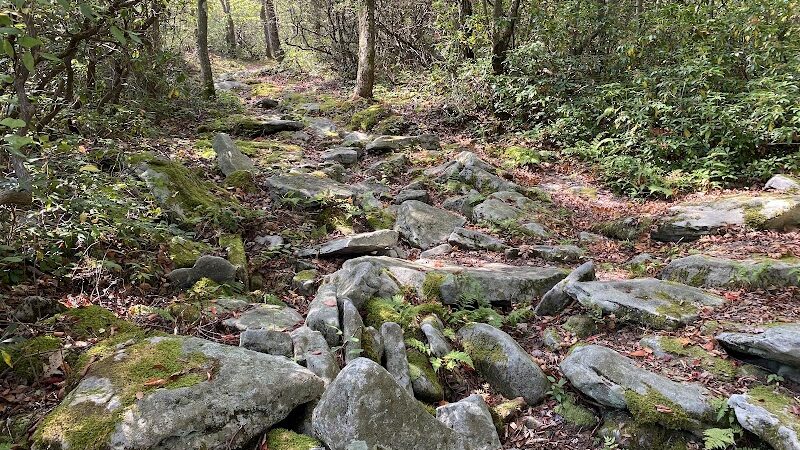 Mount Davis Pennsylvania Highpoint Trailhead - Meyersdale, PA