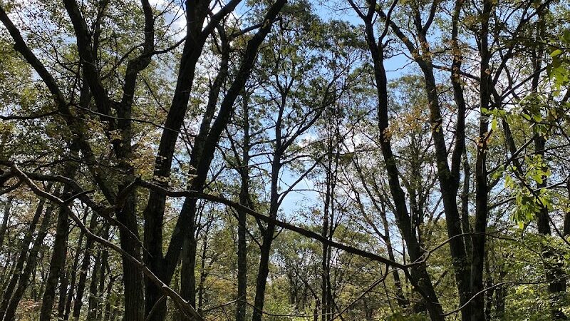 Mount Davis Pennsylvania Highpoint Trailhead - Meyersdale, PA