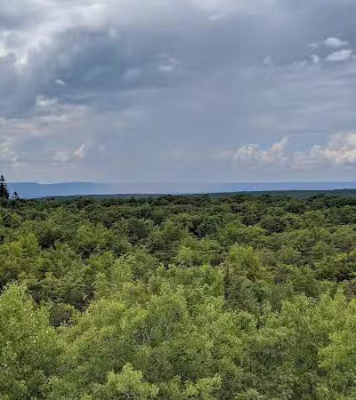 Mount Davis Pennsylvania Highpoint Trailhead - Meyersdale, PA