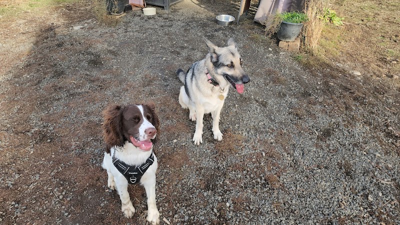Dawn to Dusk Doggy Domain Private Dog Park- By Reservation Only - Mica, WA