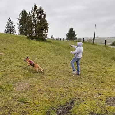 Dawn to Dusk Doggy Domain Private Dog Park- By Reservation Only - Mica, WA