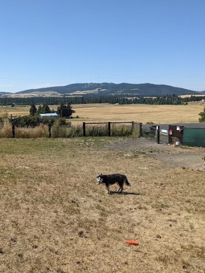 Dawn to Dusk Doggy Domain Private Dog Park- By Reservation Only - Mica, WA