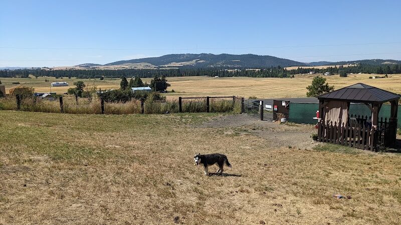 Dawn to Dusk Doggy Domain Private Dog Park- By Reservation Only - Mica, WA