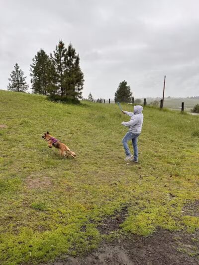 Dawn to Dusk Doggy Domain Private Dog Park- By Reservation Only - Mica, WA
