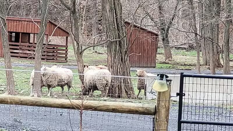 Broome Animal Sanctuary - Middleburgh, NY