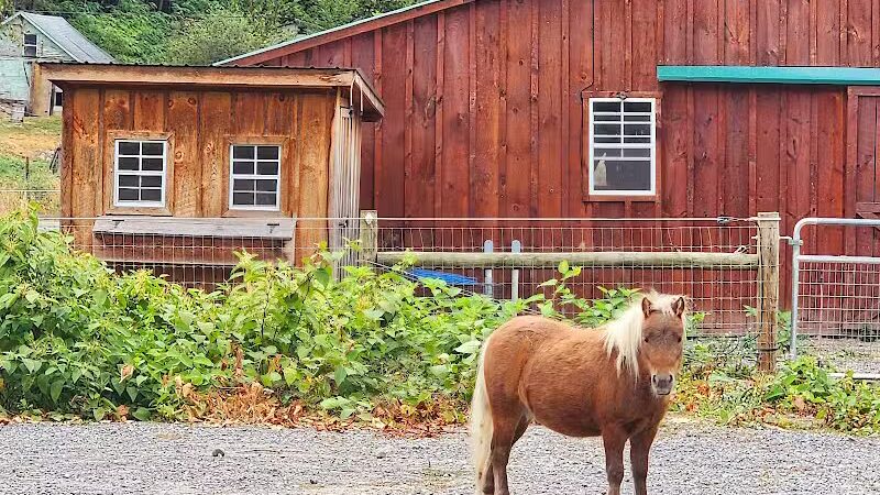 Broome Animal Sanctuary - Middleburgh, NY
