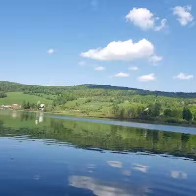 Franklinton Vlaie Wildlife Management Area - Middleburgh, NY