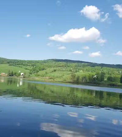 Franklinton Vlaie Wildlife Management Area - Middleburgh, NY