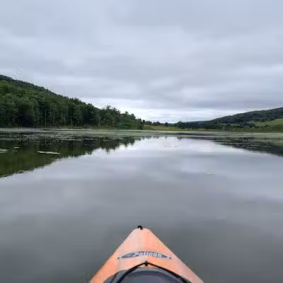 Franklinton Vlaie Wildlife Management Area - Middleburgh, NY