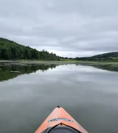Franklinton Vlaie Wildlife Management Area - Middleburgh, NY