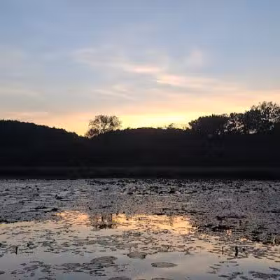 Franklinton Vlaie Wildlife Management Area - Middleburgh, NY