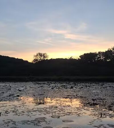 Franklinton Vlaie Wildlife Management Area - Middleburgh, NY