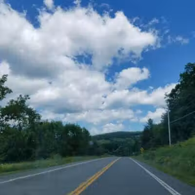 Franklinton Vlaie Wildlife Management Area - Middleburgh, NY