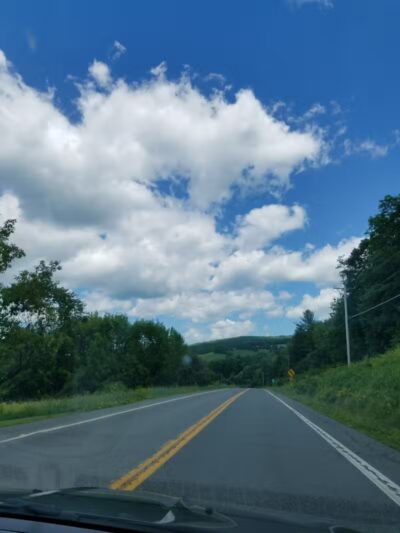 Franklinton Vlaie Wildlife Management Area - Middleburgh, NY