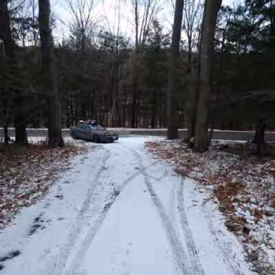 Franklinton Vlaie Wildlife Management Area - Middleburgh, NY