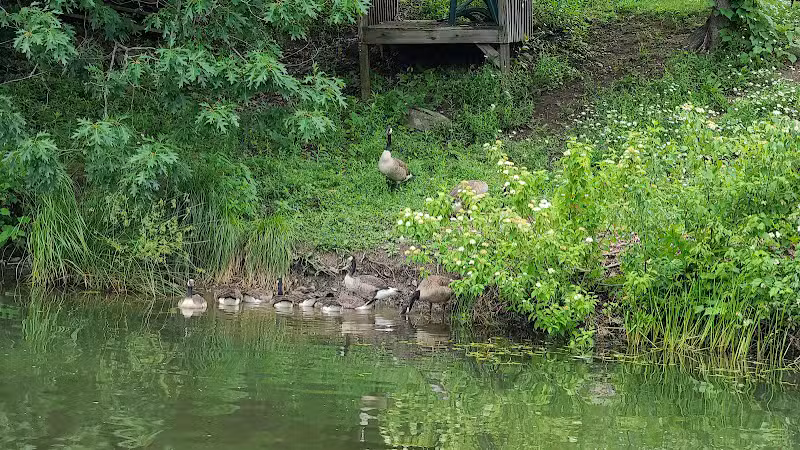 Franklinton Vlaie Wildlife Management Area - Middleburgh, NY