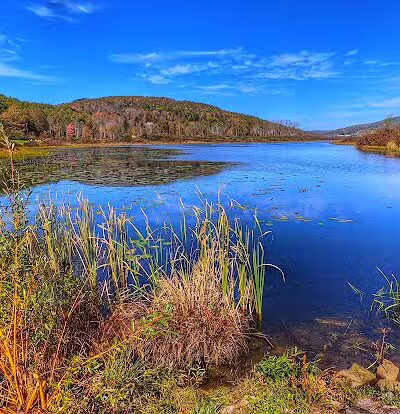 Franklinton Vlaie Wildlife Management Area - Middleburgh, NY