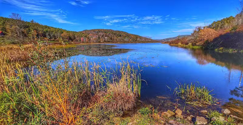 Franklinton Vlaie Wildlife Management Area - Middleburgh, NY