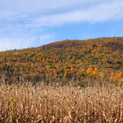 Timothy Murphy Park - Middleburgh, NY