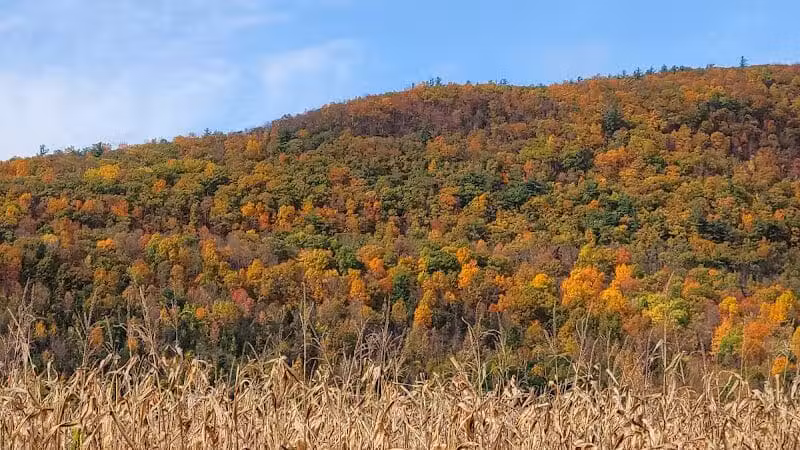 Timothy Murphy Park - Middleburgh, NY
