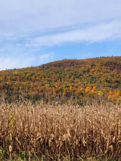 Timothy Murphy Park - Middleburgh, NY
