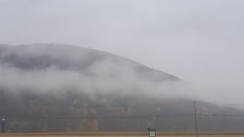Timothy Murphy Park - Middleburgh, NY