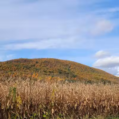 Timothy Murphy Park - Middleburgh, NY