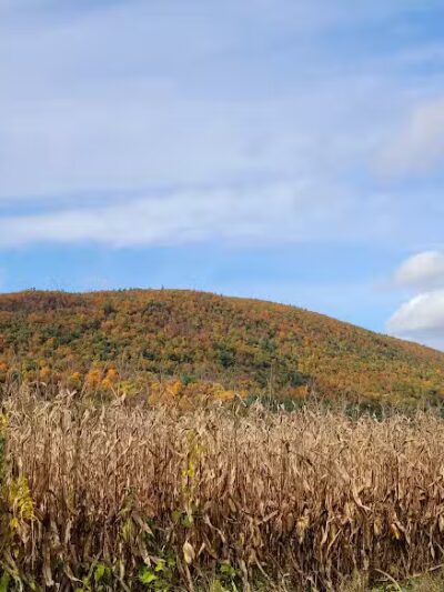 Timothy Murphy Park - Middleburgh, NY