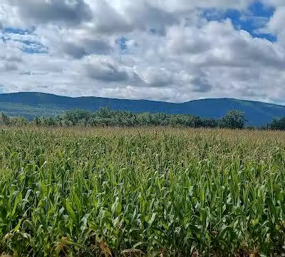 Timothy Murphy Park - Middleburgh, NY