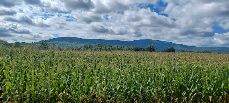 Timothy Murphy Park - Middleburgh, NY