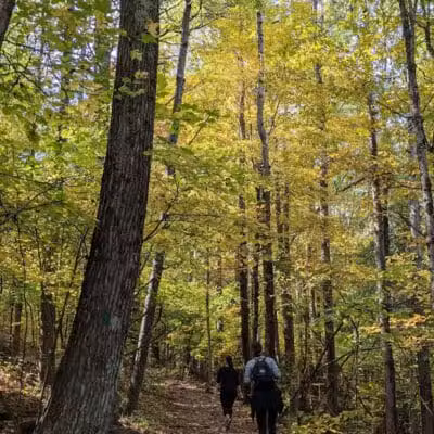 Vroman's Nose Hiking Trail - Middleburgh, NY