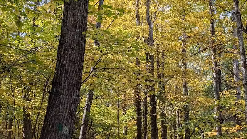 Vroman's Nose Hiking Trail - Middleburgh, NY