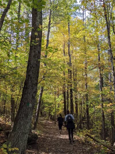 Vroman's Nose Hiking Trail - Middleburgh, NY