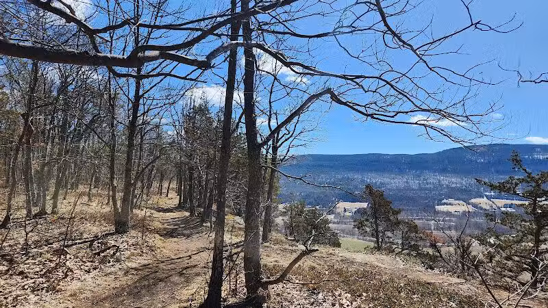 Vroman's Nose Hiking Trail - Middleburgh, NY
