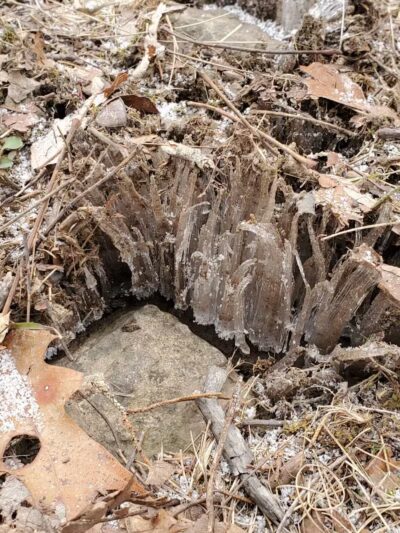Vroman's Nose Hiking Trail - Middleburgh, NY